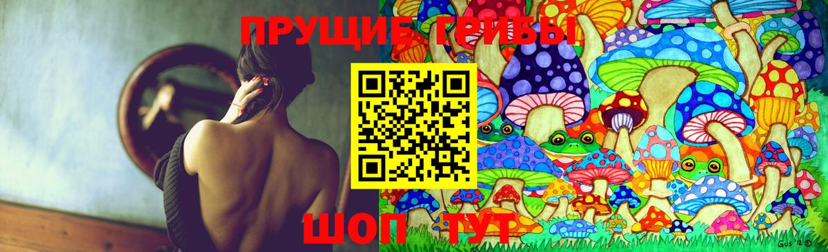 Топки  Галлюциногенные грибы Psilocybe  Вход с VPN  Псилоцибиновые грибы Psilocybe 